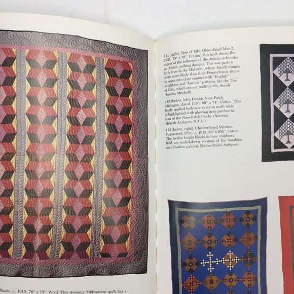 A Gallery Of Amish Quilts Robert Bishop Safanda Quilting Book Pictures - Picture 12 of 14